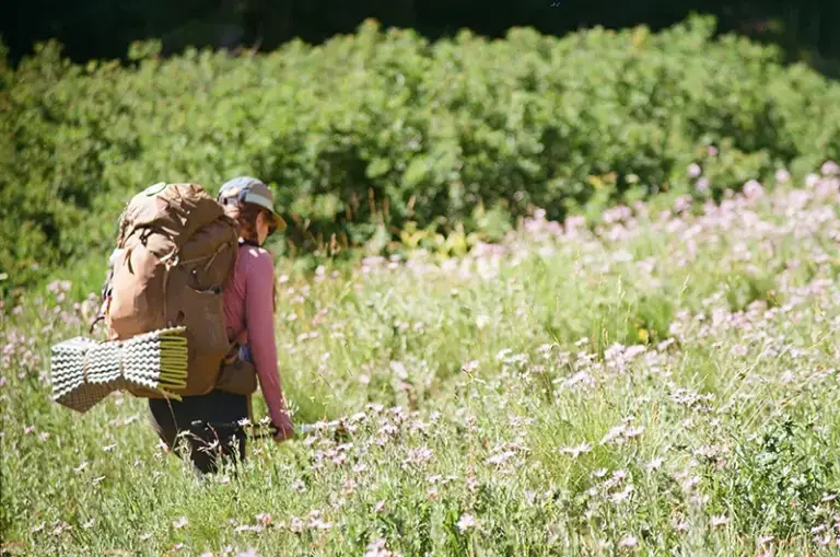hiking through wildflowers in oregon