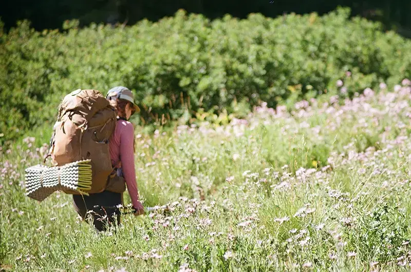 hiking through wildflowers in oregon