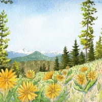 Watercolor painting